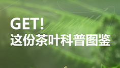 GET ！这份茶叶科普图鉴