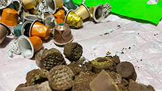 【绿色科普】探究咖啡胶囊的可持续